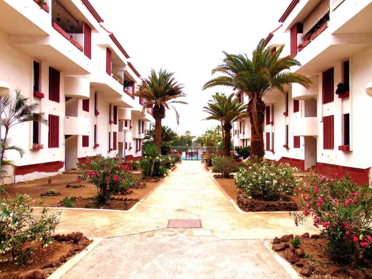 Apartment Altemar In Las Americas Πλάγια ντε λας Αμέρικας Εξωτερικό φωτογραφία